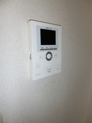 Security. The color TV Intercom peace of mind