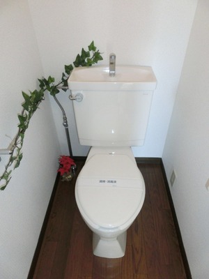 Toilet. Toilet