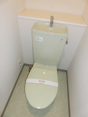 Toilet. Toilet