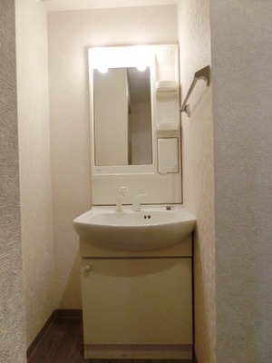 Washroom. With shampoo dresser