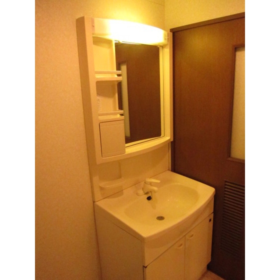 Washroom. Shampoo dresser