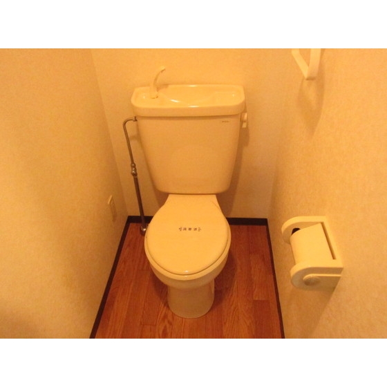 Toilet. Toilet Separate