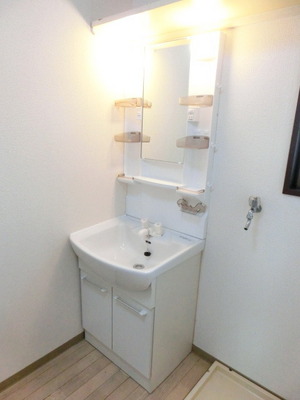 Washroom. Easy-to-use shower Dresser