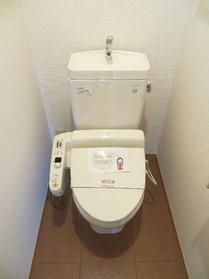 Toilet. Toilet with cleanliness