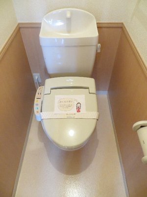 Toilet. Toilet with cleanliness