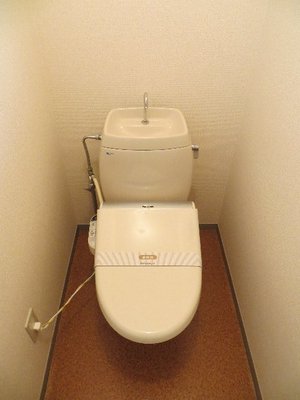 Toilet. Toilet with cleanliness