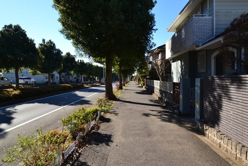 Local photos, including front road. State of the east front of the road (12 May 2013) Shooting
