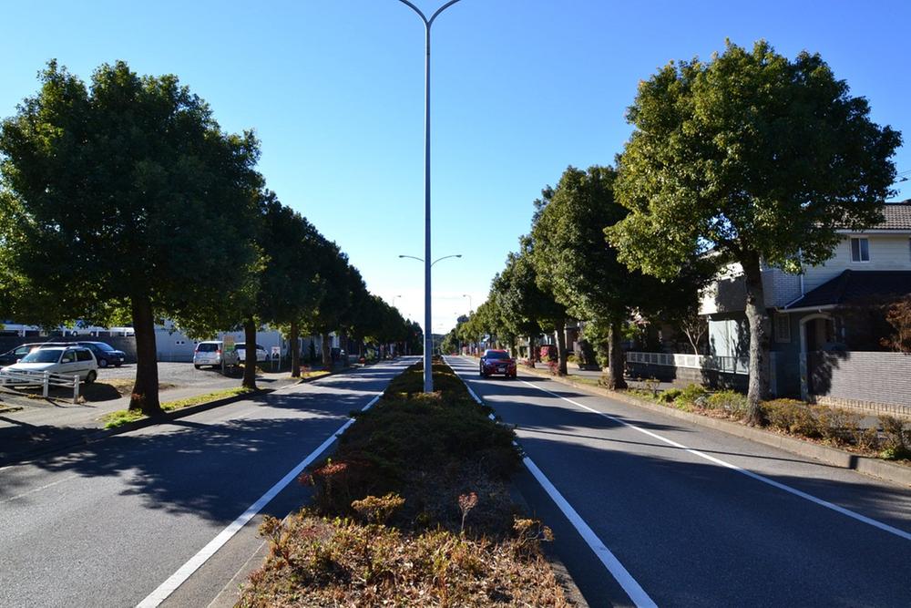 Local photos, including front road. State of the east front of the road (12 May 2013) Shooting