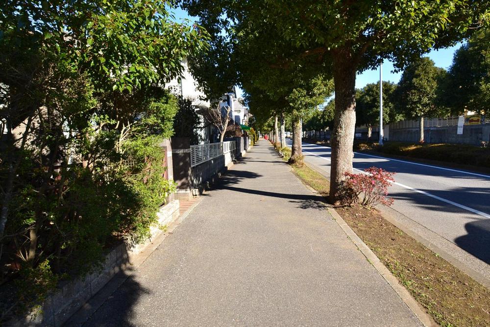 Local photos, including front road. State of the east front of the road (12 May 2013) Shooting