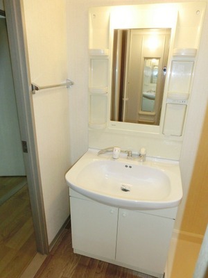 Washroom. Bathroom Vanity