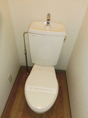 Toilet. Toilet