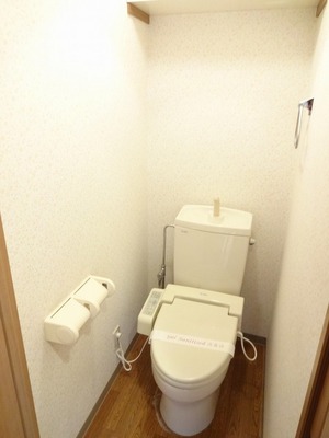 Toilet. Towel ring, It is a toilet with hand washing.
