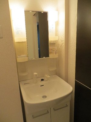 Washroom. Shampoo dresser