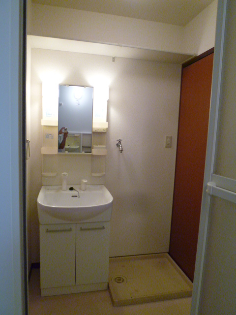 Washroom. Vanity with shower