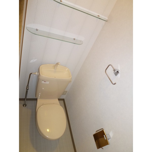 Toilet. Shelf with