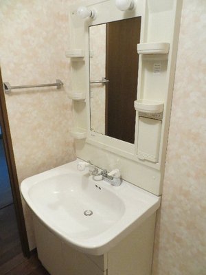 Washroom. Washbasin with shower