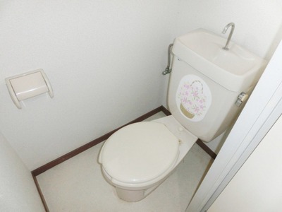 Toilet. It is a simple toilet. 