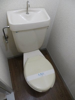 Toilet. toilet
