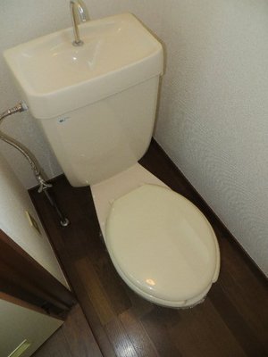 Toilet. toilet