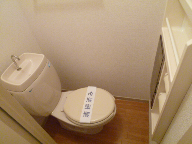 Toilet. Toilet with cleanliness!