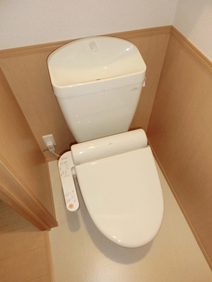 Toilet. Toilet with warm water washing toilet seat