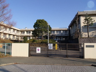 Primary school. Izumiya to elementary school (elementary school) 240m