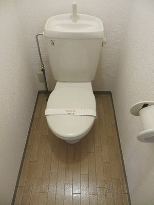 Toilet. Toilet with cleanliness