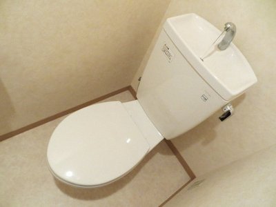 Toilet. toilet