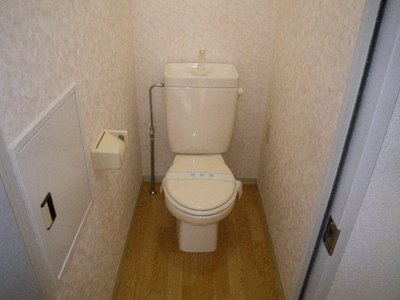 Toilet. toilet