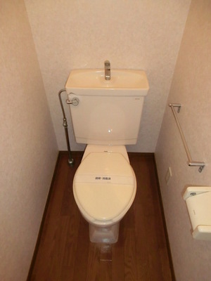 Toilet. Clean toilet