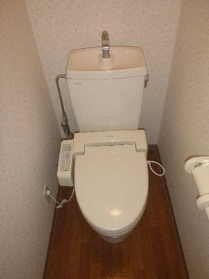 Toilet. Toilet with shower