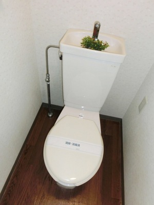 Toilet. Toilet