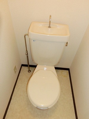 Toilet. Toilet