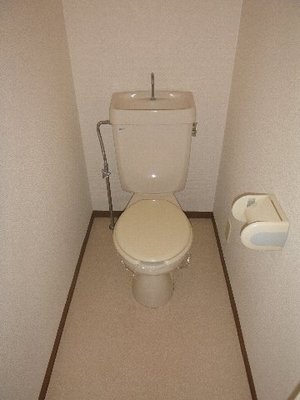 Toilet. Toilet with cleanliness