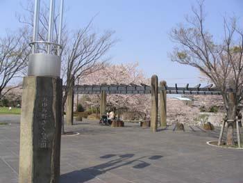 park. 1927m until Namami field Sakura Park