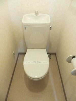 Toilet. It is the place to settle