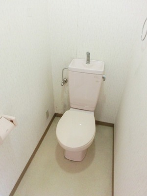 Toilet. Standard toilets