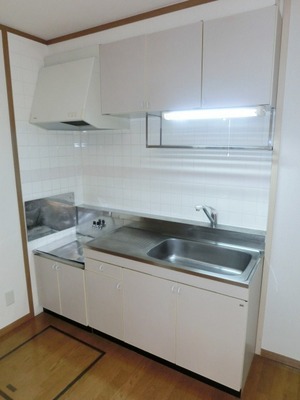 Kitchen. Two-burner gas stove can be installed.