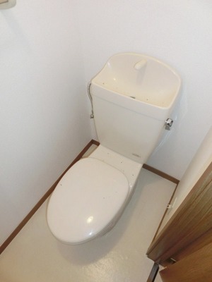 Toilet. Toilet