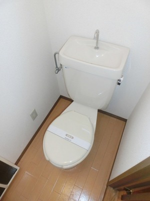 Toilet. Toilet