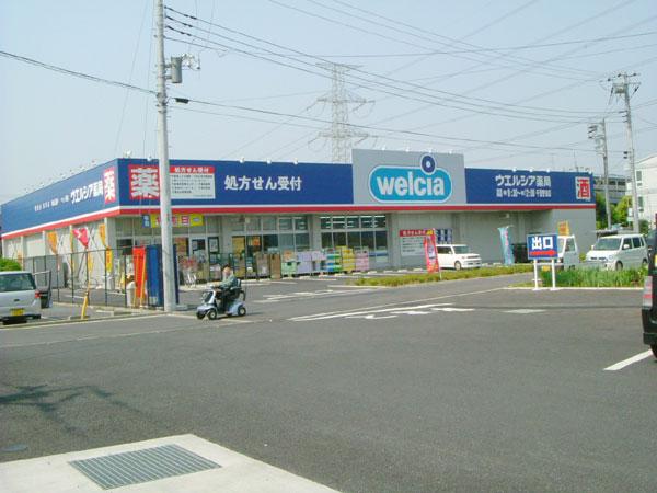Drug store. Uerushia 1221m until Chiba Honda shop