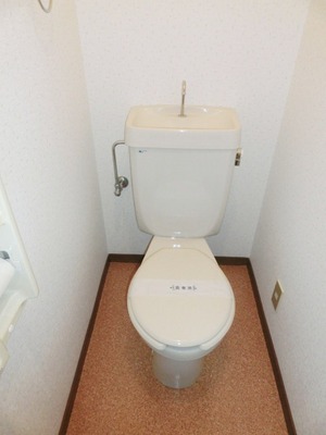 Toilet. It is a simple toilet.