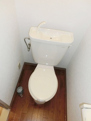 Toilet. Toilet