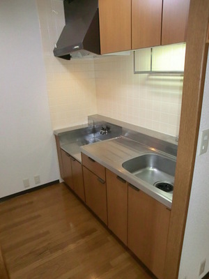 Kitchen. Gas stove can be installed kitchen