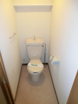 Toilet. Standard toilets