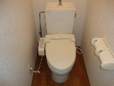 Toilet. Toilet a shower