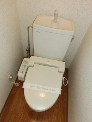 Toilet. Toilet with warm water washing toilet seat