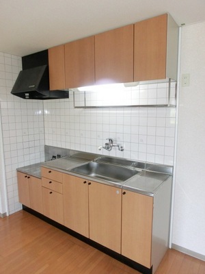 Kitchen. Two-burner gas stove can be installed