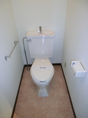 Toilet. Toilet