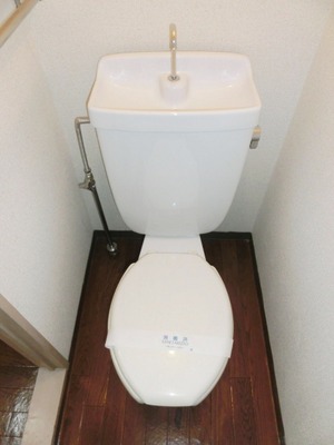 Toilet. It is a simple toilet.